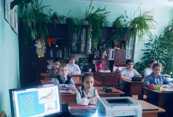 Всемирный день защиты морских млекопитающих.